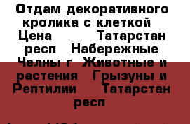 Отдам декоративного кролика с клеткой › Цена ­ 100 - Татарстан респ., Набережные Челны г. Животные и растения » Грызуны и Рептилии   . Татарстан респ.